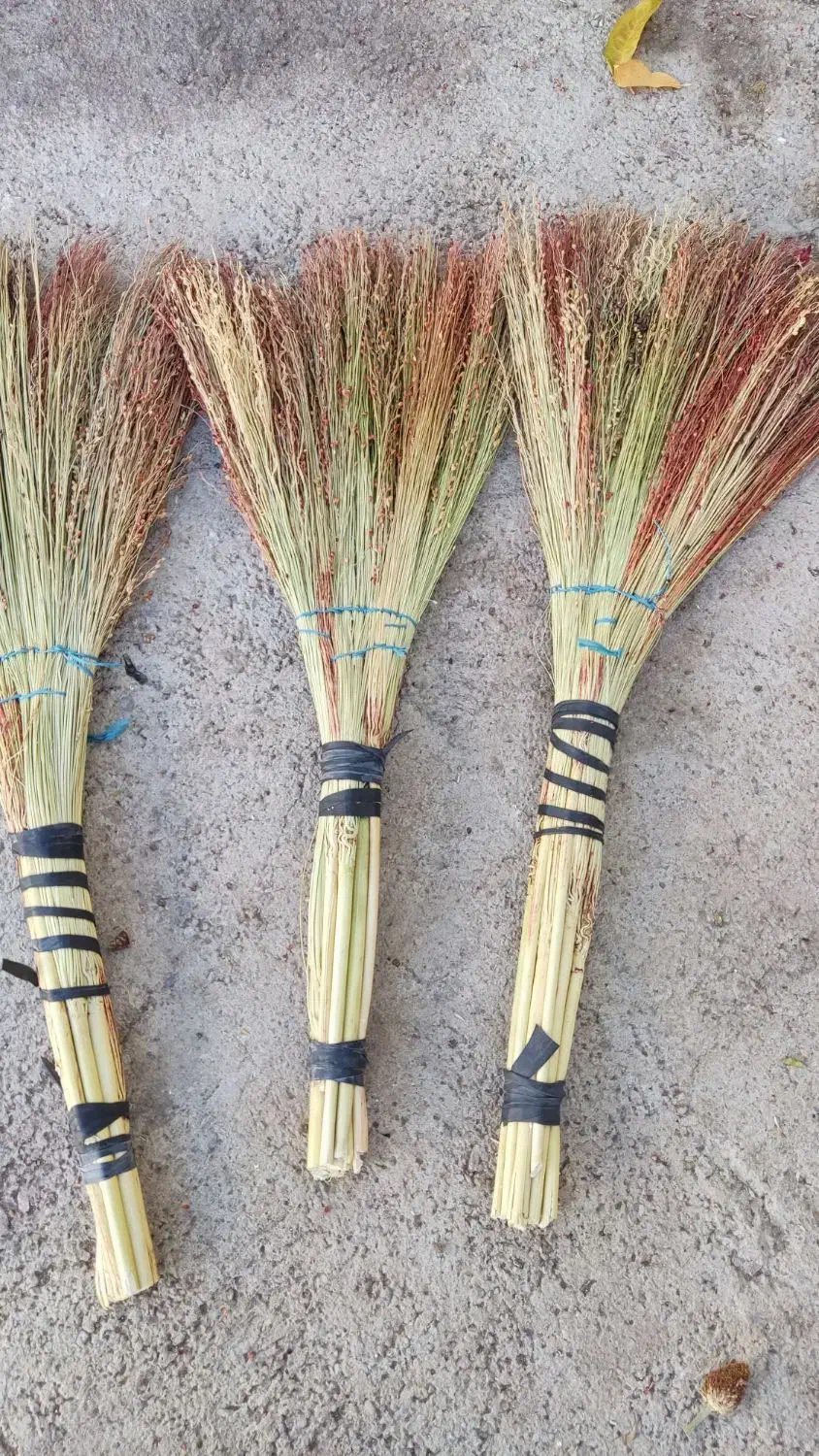 فروش عمده جاروخانگی|لوازم نظافت|الشتر, |دیوار