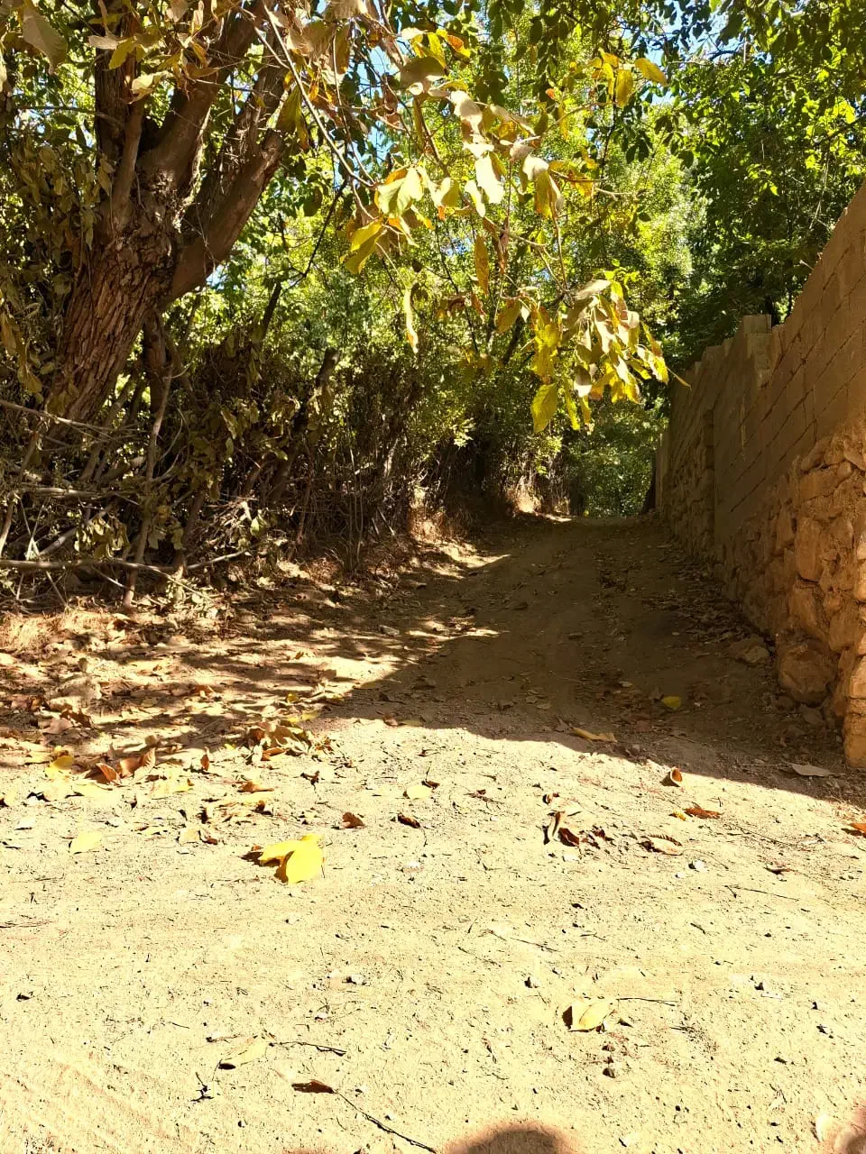 راهنمایی کنید چطور وام کم سود بگیرم|فعالیت داوطلبانه|تهران, ظفر|دیوار