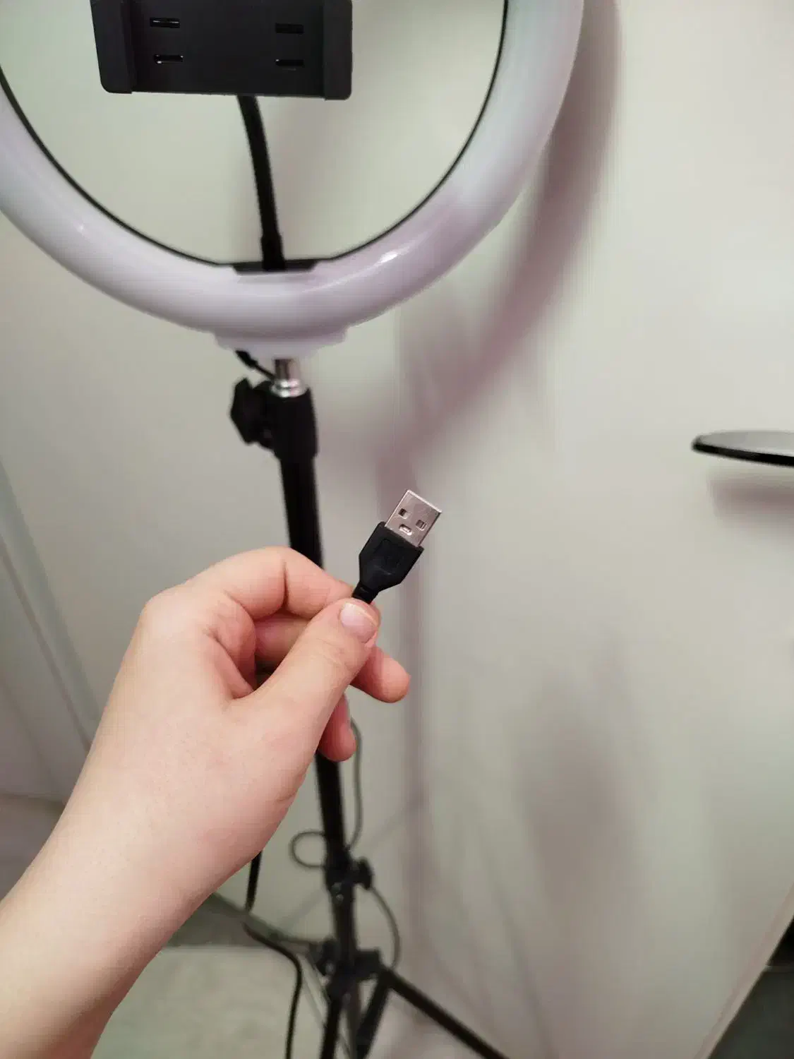 رینگ لایت فقط۱۵۰۰|دوربین عکاسی و فیلم‌برداری|مشهد, کوی دروی|دیوار