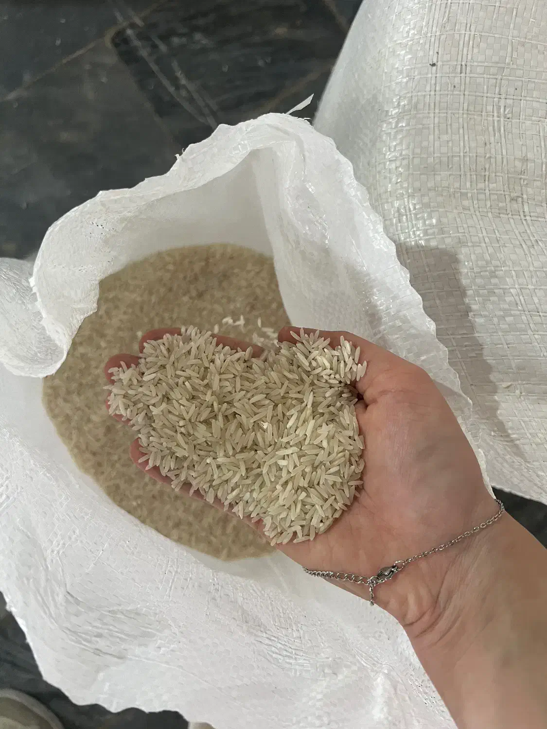 خرید با کیفیت و با قیمت مناسب از تولیدکننده|خدمات پذیرایی، مراسم|قائمشهر, |دیوار