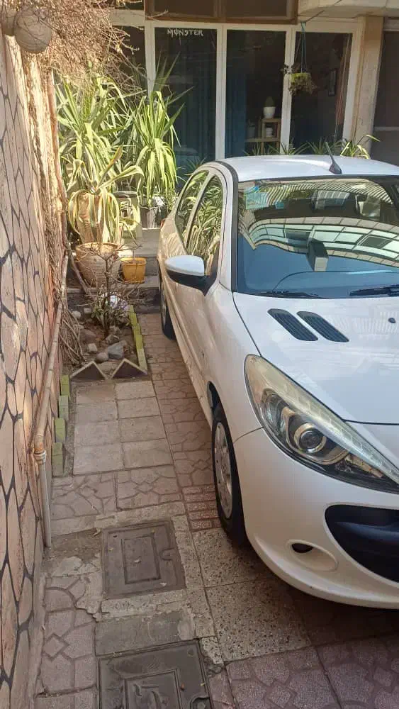 ۲۰۷ فلز فرمون برقی|خودرو سواری و وانت|قزوین, |دیوار