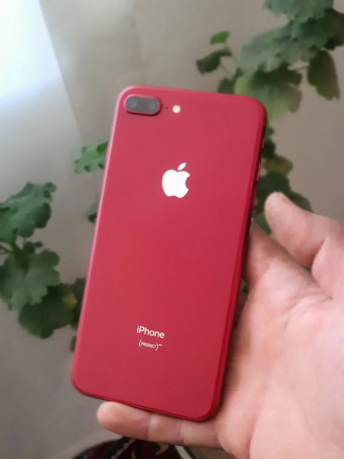 ایفون هشت پلاس|موبایل|ارومیه, |دیوار