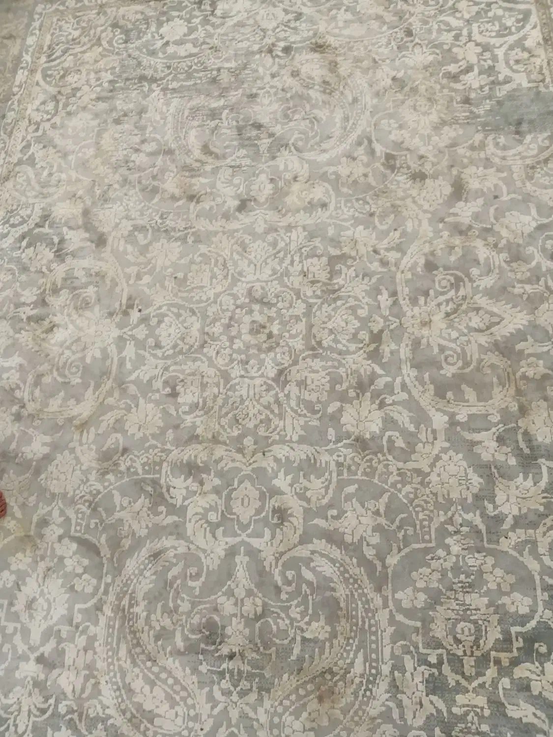 قالی ۱۲ متری|فرش|تایباد, |دیوار