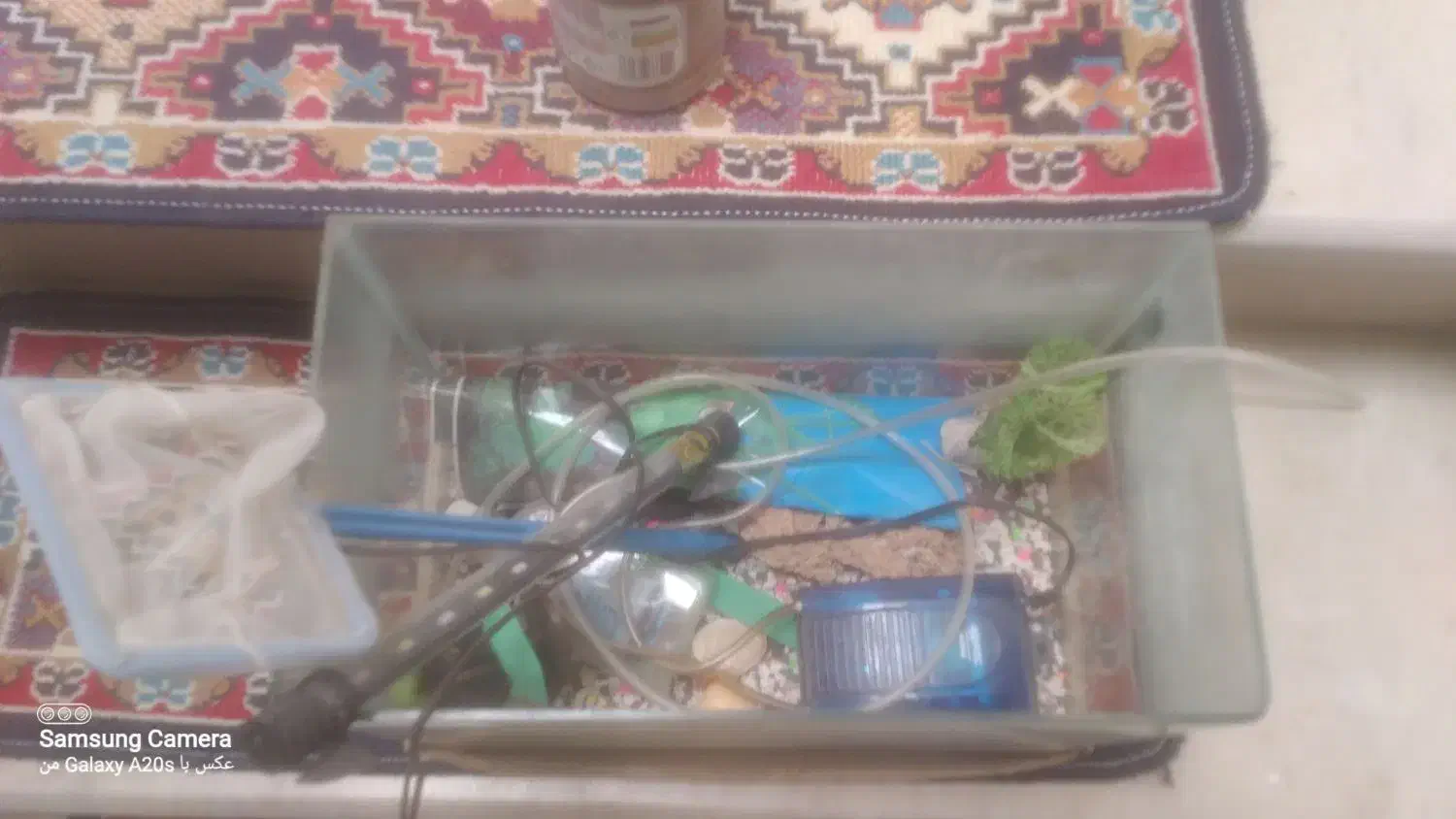 آکواریوم|ماهی|قزوین, |دیوار