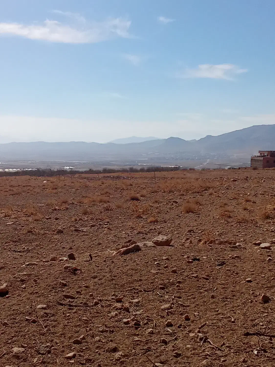 زمین گلخونه|فروش زمین و ملک کلنگی|چادگان, |دیوار