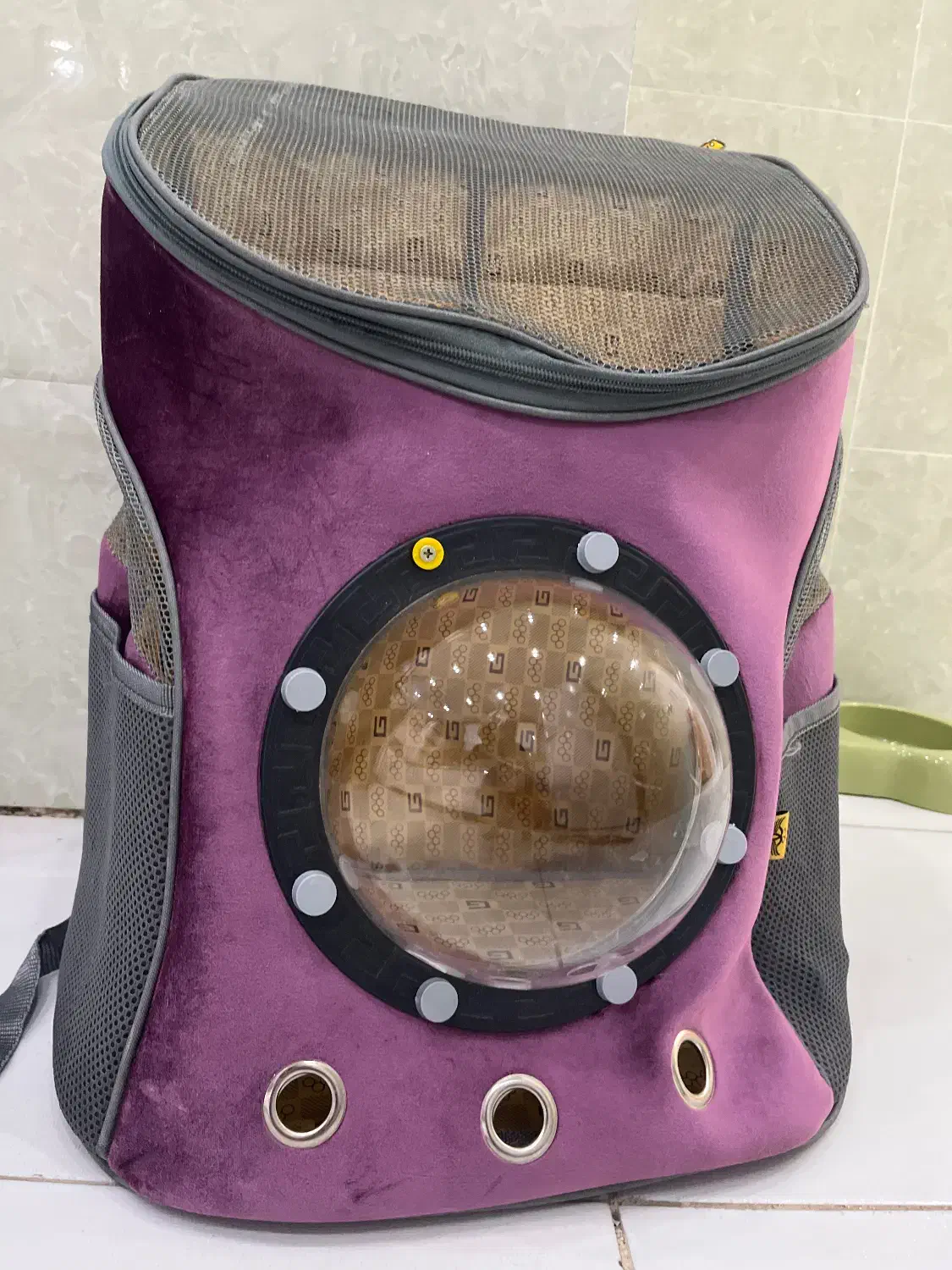 کیف حمل سگ و گربه|لوازم جانبی حیوانات|شیراز, شهرک گلستان|دیوار