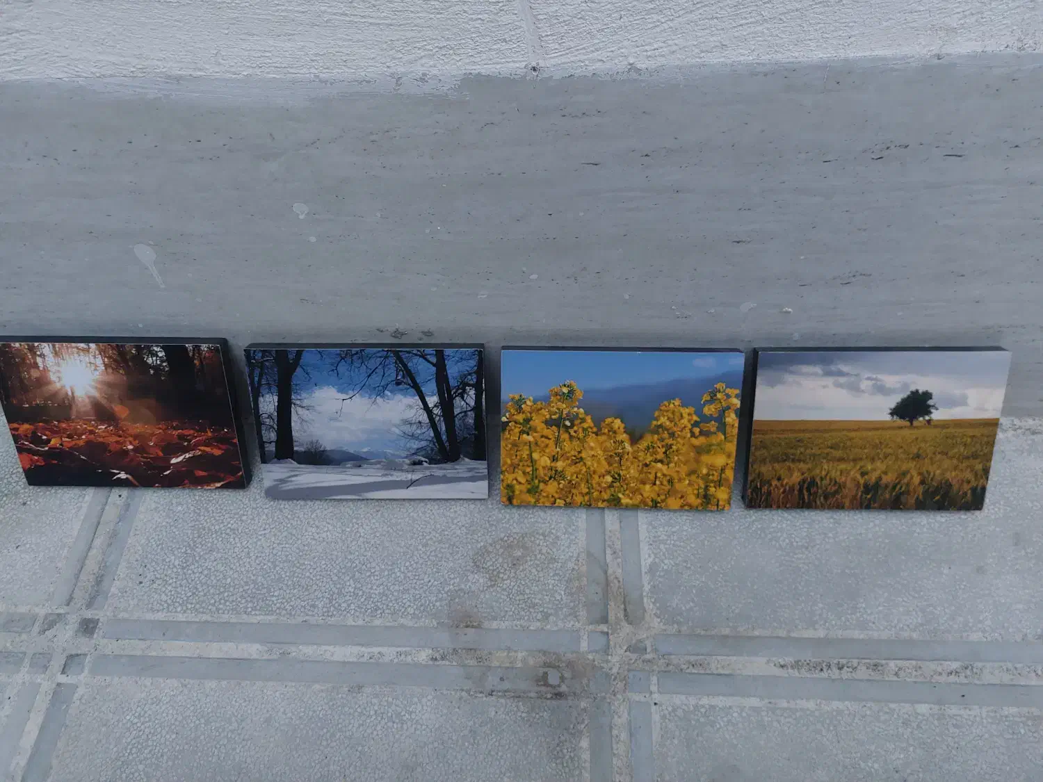 گلدان و دکوری|گل مصنوعی|گرگان, |دیوار