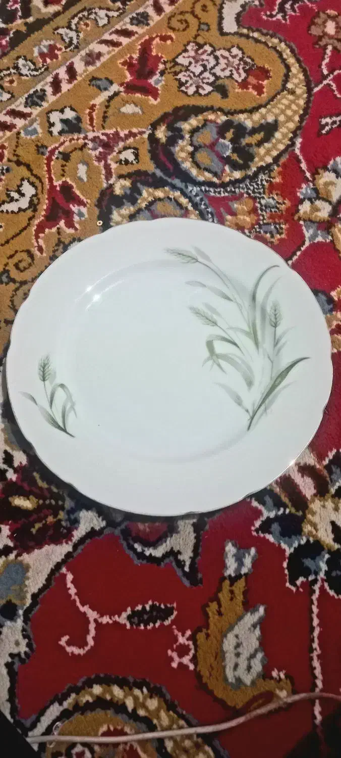 بشقاب چینی ژاپنی|ظروف سرو و پذیرایی|شیراز, شهرک پرواز|دیوار