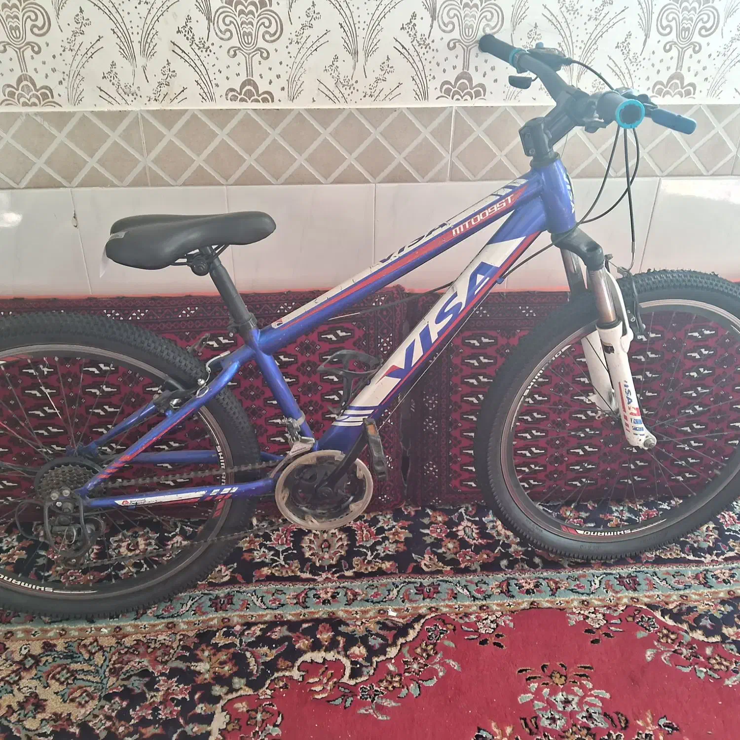 فروش انواع دوچرخه|دوچرخه، اسکیت، اسکوتر|تربت‌حیدریه, سرمحله|دیوار