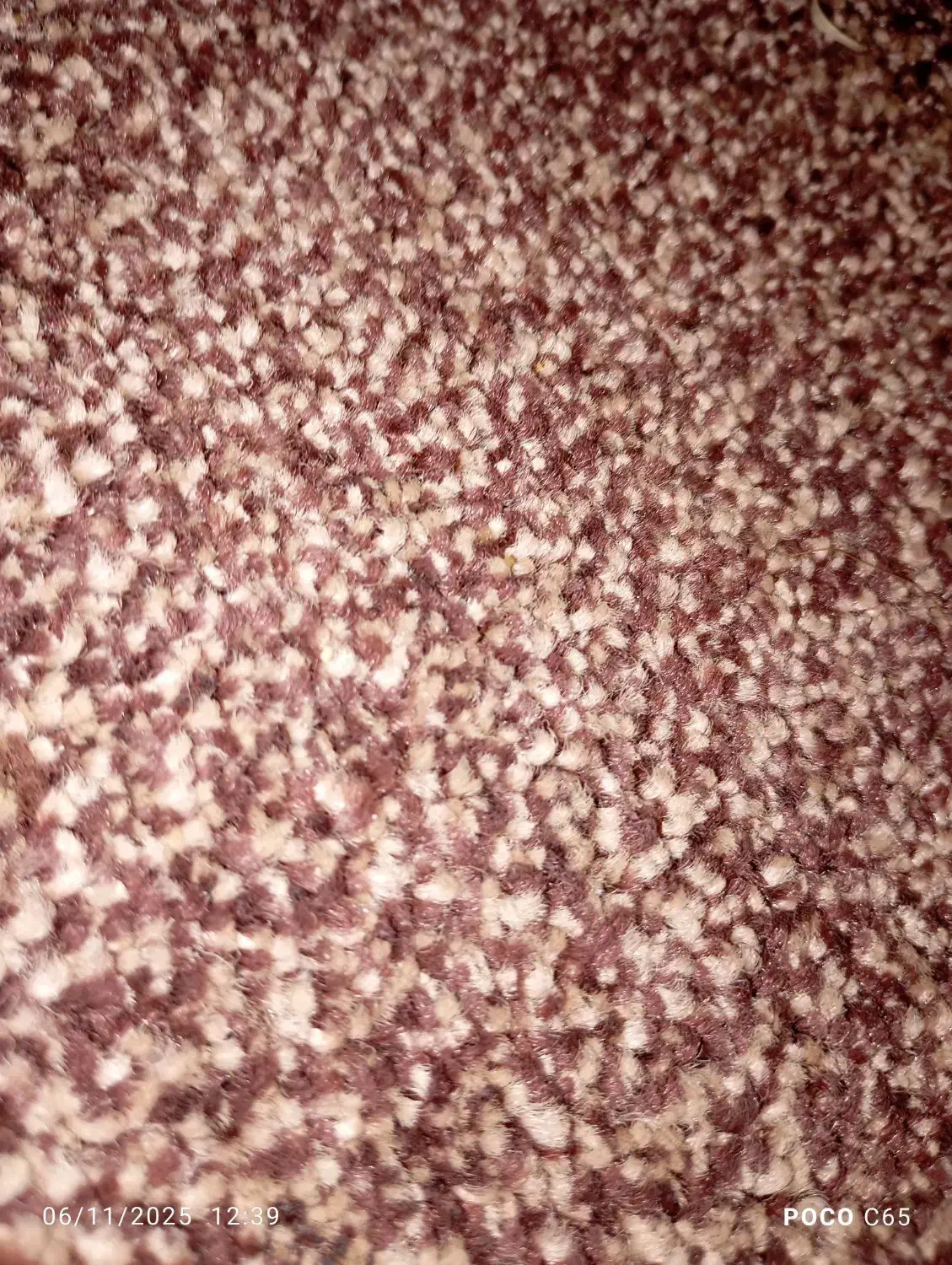 پالاز موکت ۳ متری|موکت|بندر ماهشهر, |دیوار