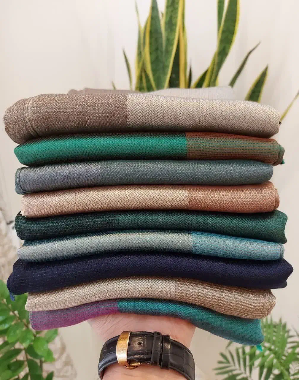 شال|لباس|سهند, |دیوار