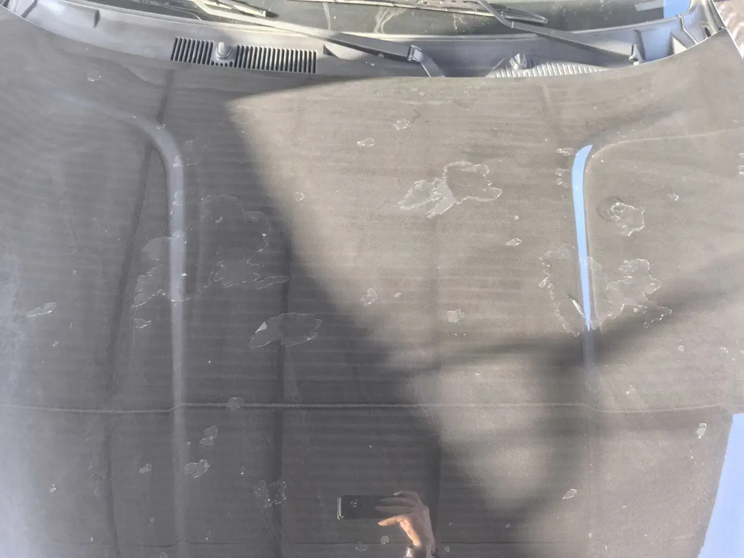 MVMx22|خودرو سواری و وانت|همدان, |دیوار