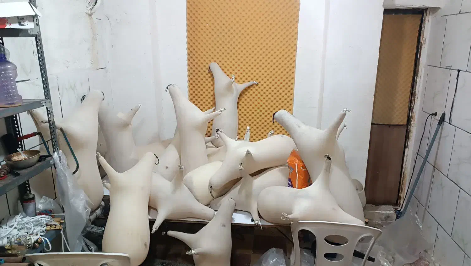 نی انبان یا نی همبون(خام)|سازهای بادی|بوشهر, |دیوار