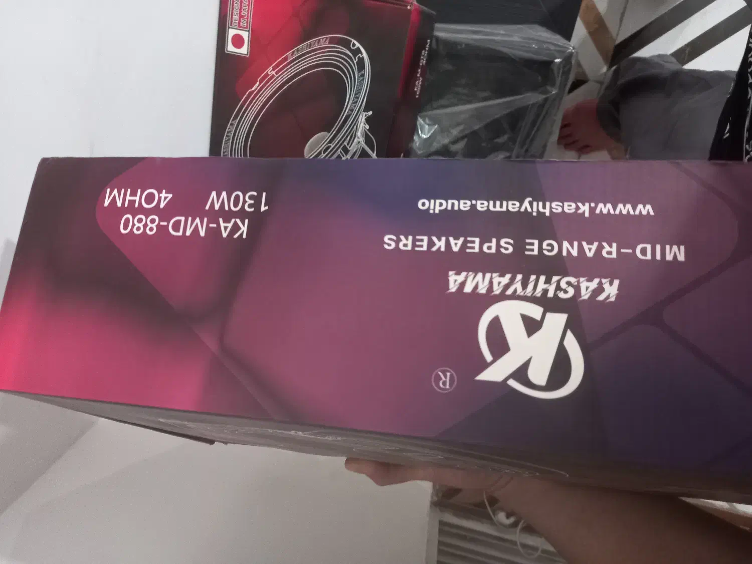 میدرنج کاشیاما سایز ۸ نو نو|صوتی و تصویری|آمل, |دیوار