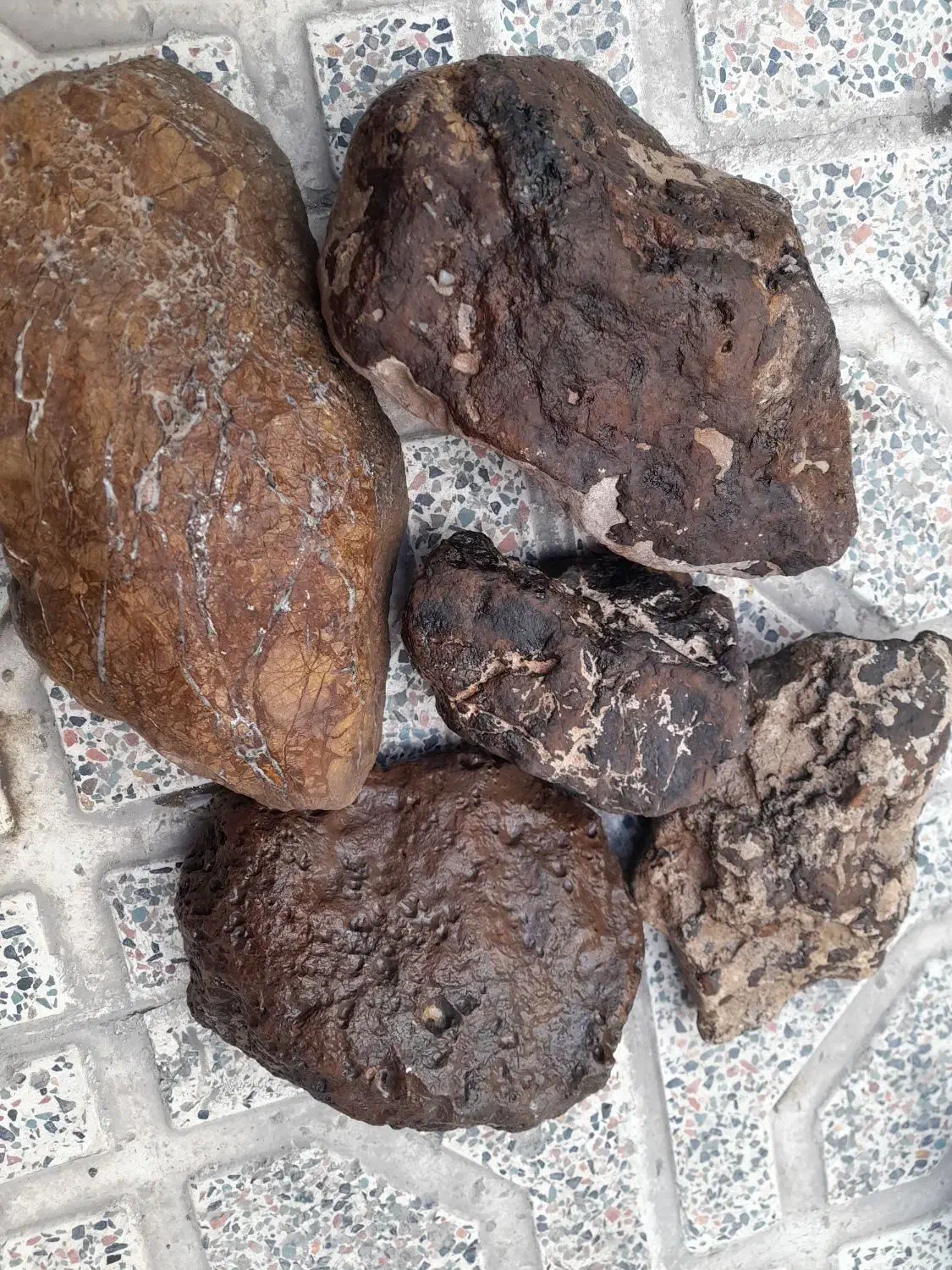 سنگ شجر|کلکسیون اشیاء عتیقه|زنجان, |دیوار