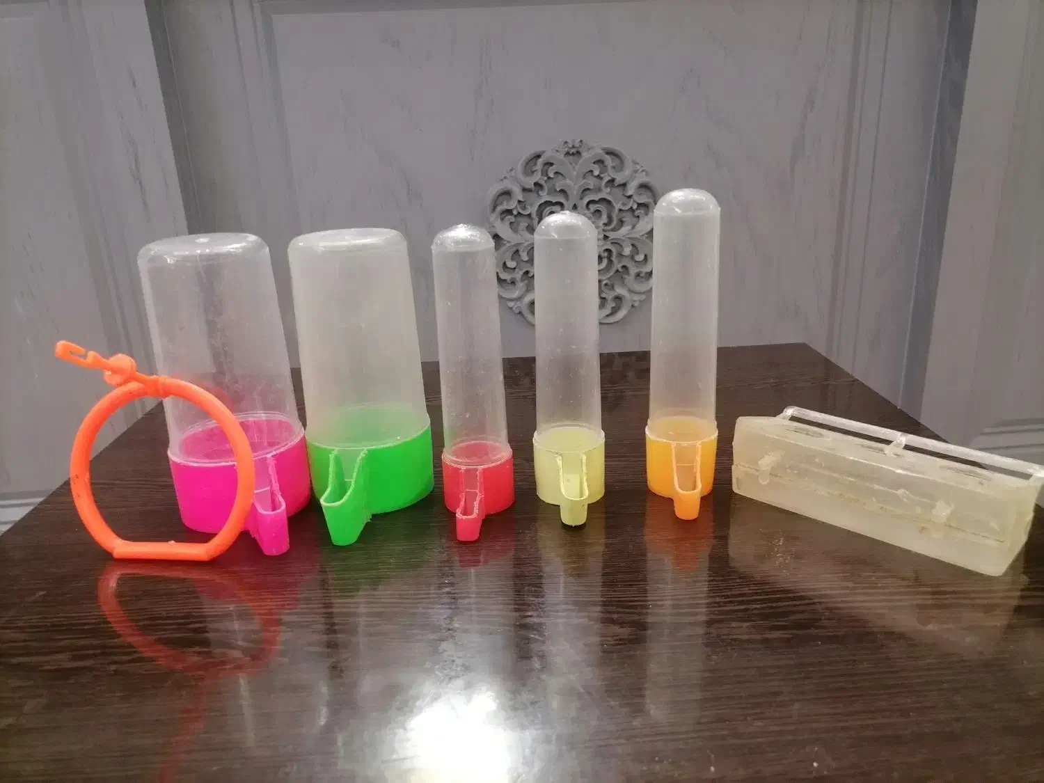 قفس|لوازم جانبی حیوانات|مشهد, زیبا شهر|دیوار