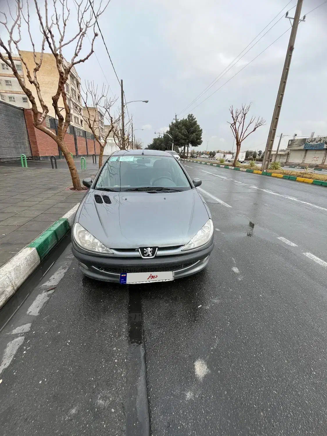 206سالم بیرنگ|خودرو سواری و وانت|فردیس, خیام شرقی|دیوار