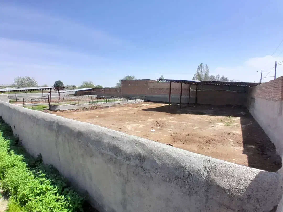 سالن 300 متری 1000 متر محوطه حاشیه جاده فریمان|اجارهٔ دفتر صنعتی، کشاورزی، تجاری|مشهد, طرق|دیوار