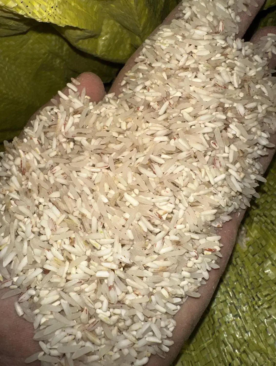 برنج فجر شکسته|خوردنی و آشامیدنی|گرگان, |دیوار