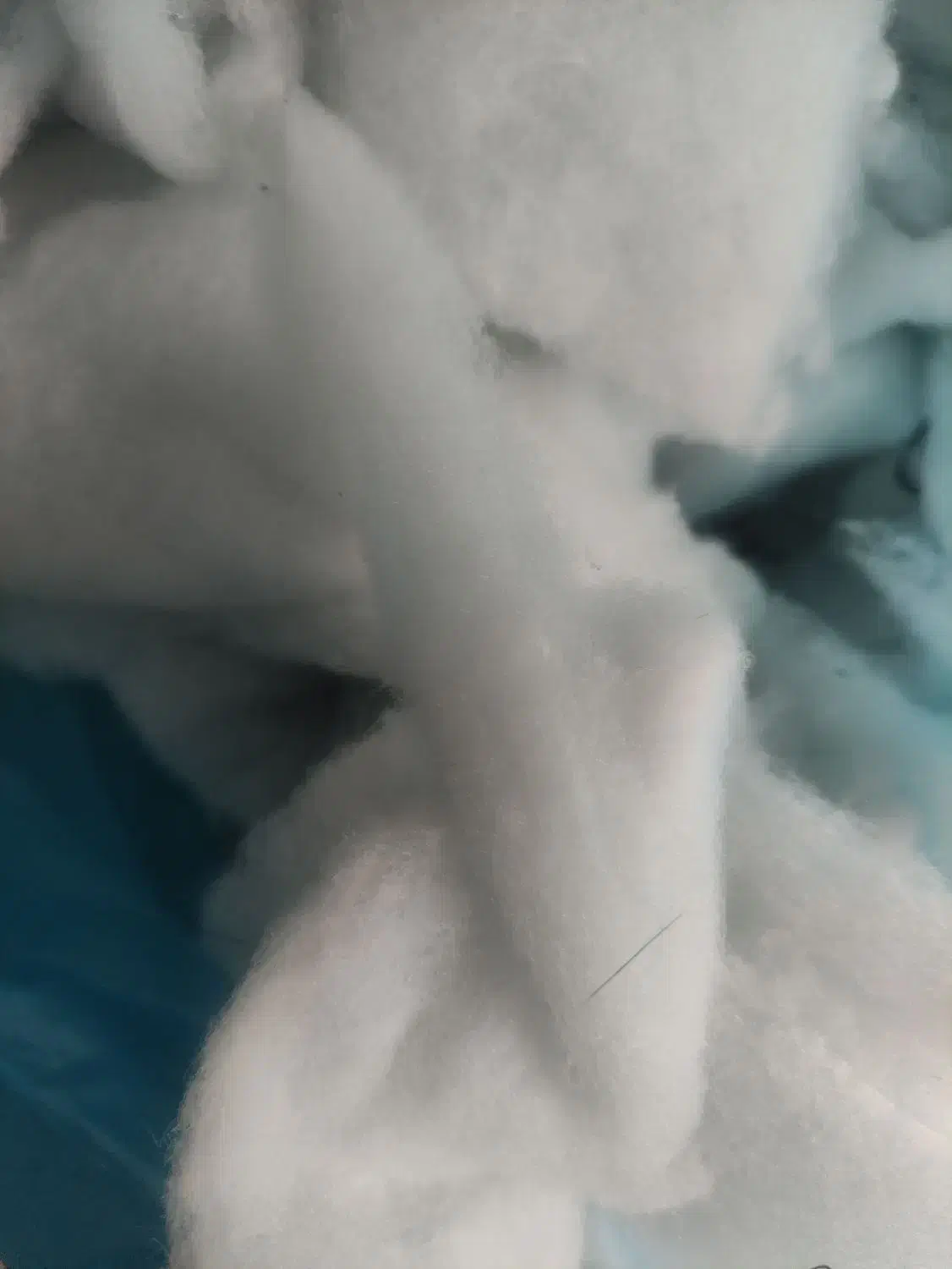 الیاف تمیز|رختخواب، بالش، پتو|تبریز, |دیوار