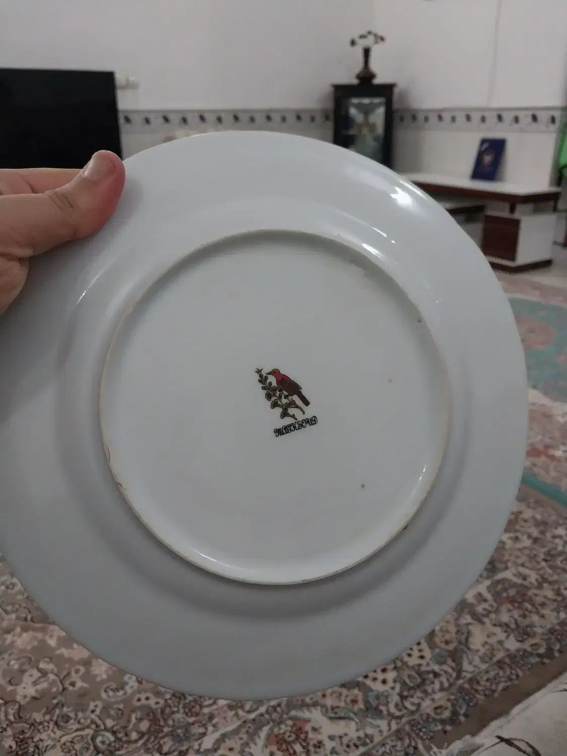 بشقاب چینی و دیس|ظروف سرو و پذیرایی|قم, شاه سید علی|دیوار