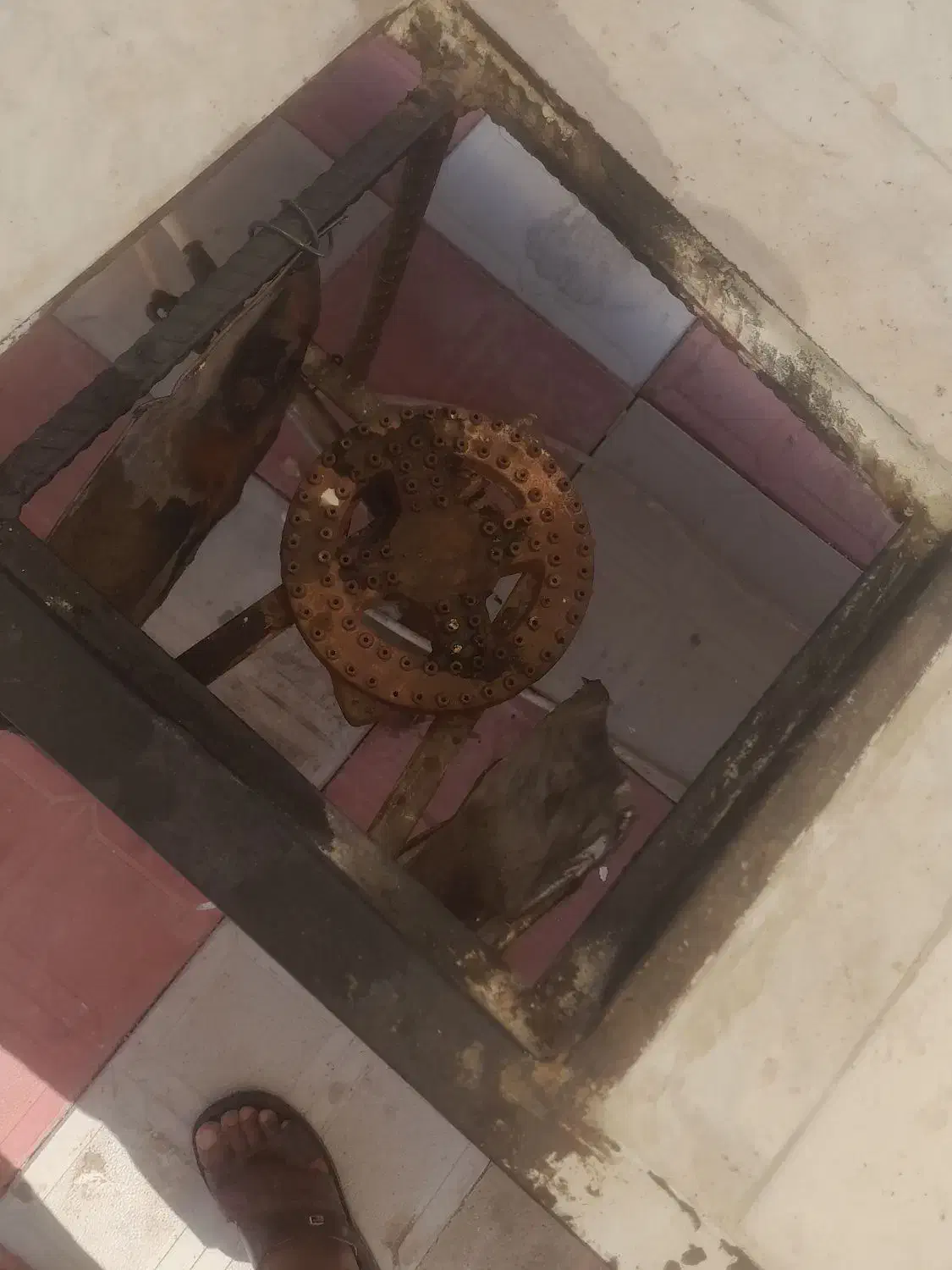 دکه فلافلی وساندویچی|کافی‌شاپ و رستوران|اهواز, زرگان|دیوار