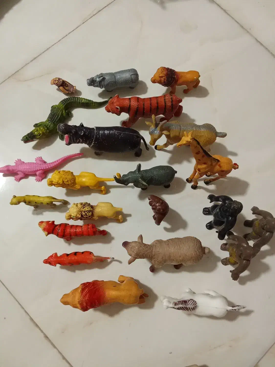 فیگور حیوانات|اسباب‌‌بازی|پاکدشت, پاکدشت (مامازند)|دیوار