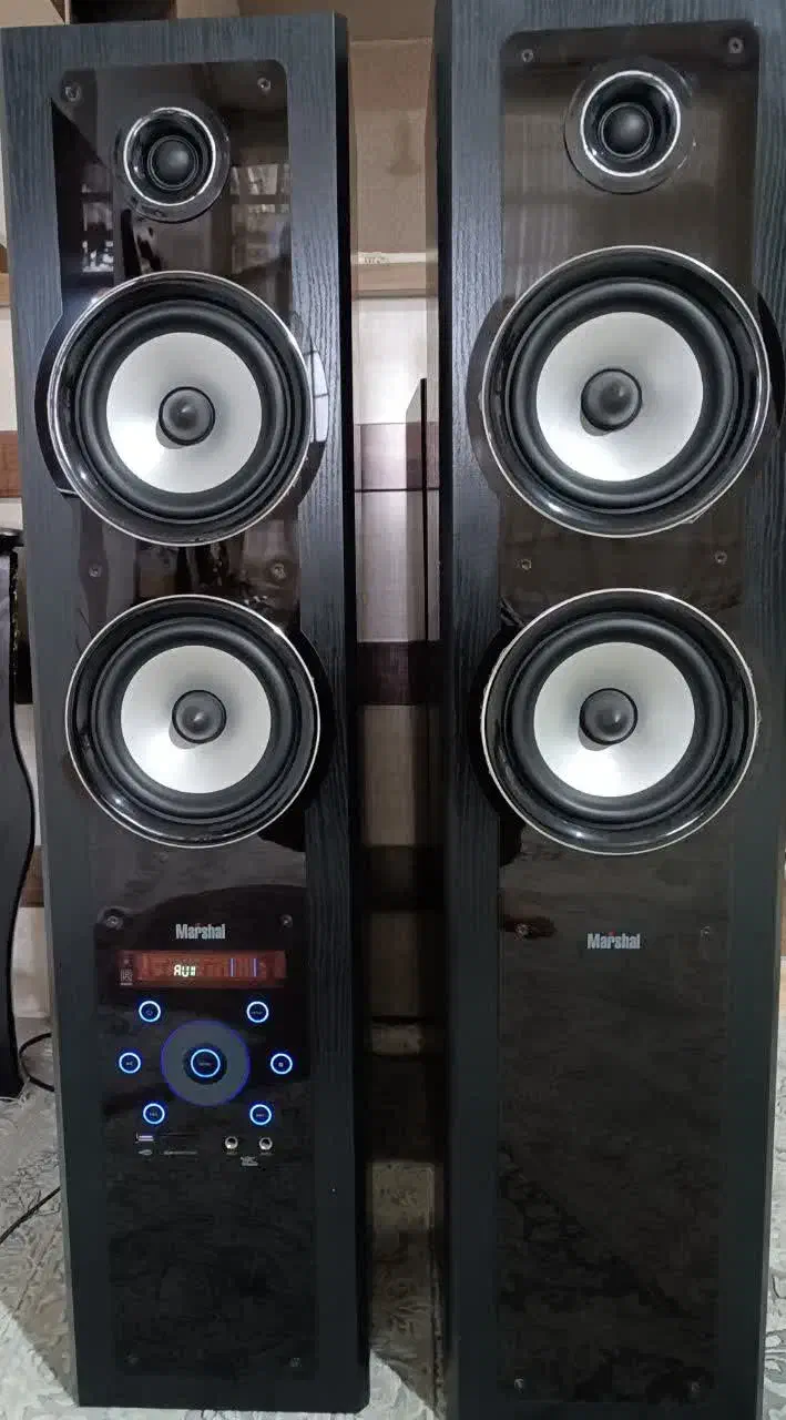 اسپیکر دوقلو|سیستم صوتی خانگی|دورود, |دیوار