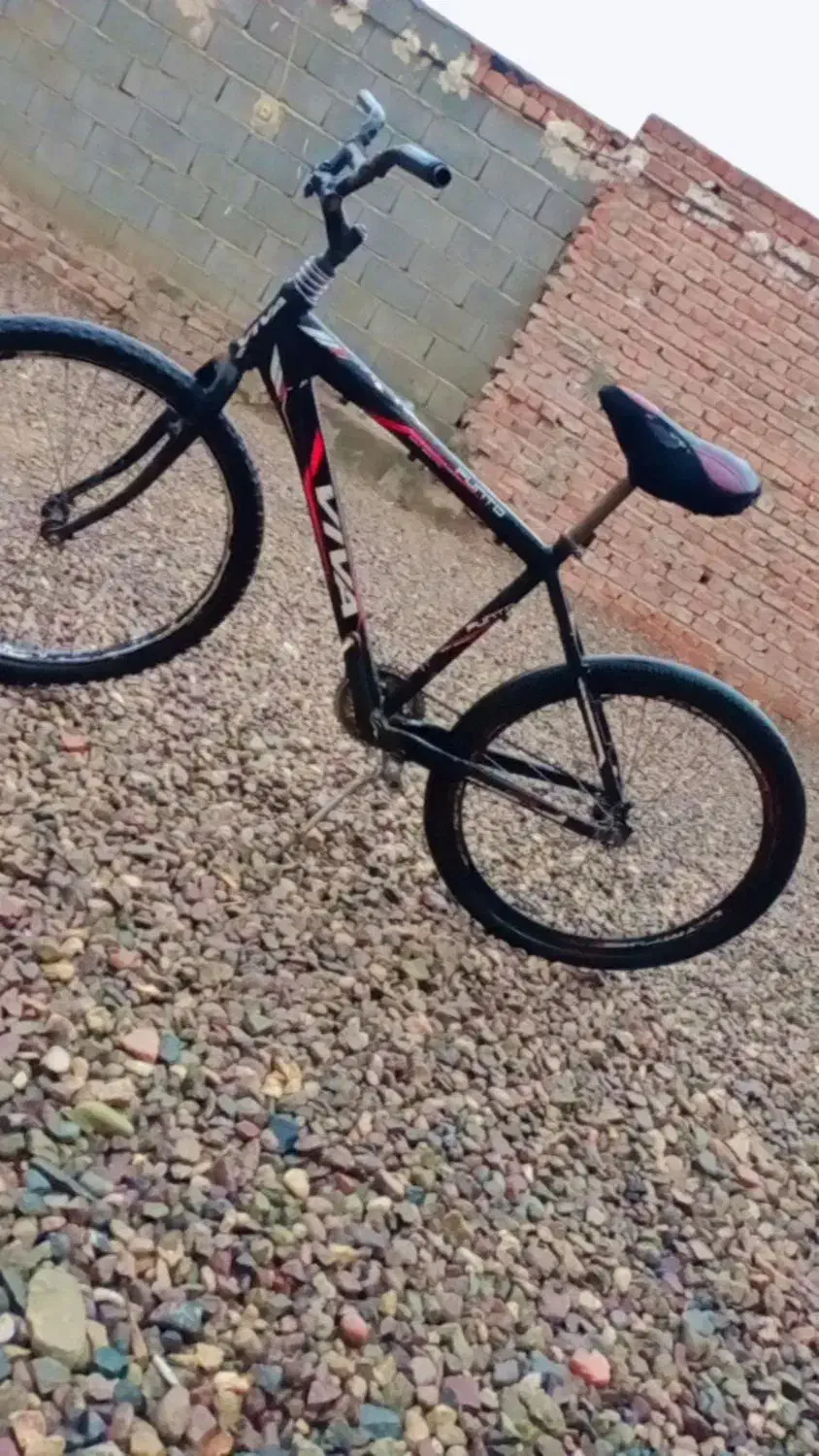 دوچرخه 26|دوچرخه، اسکیت، اسکوتر|خاش, |دیوار