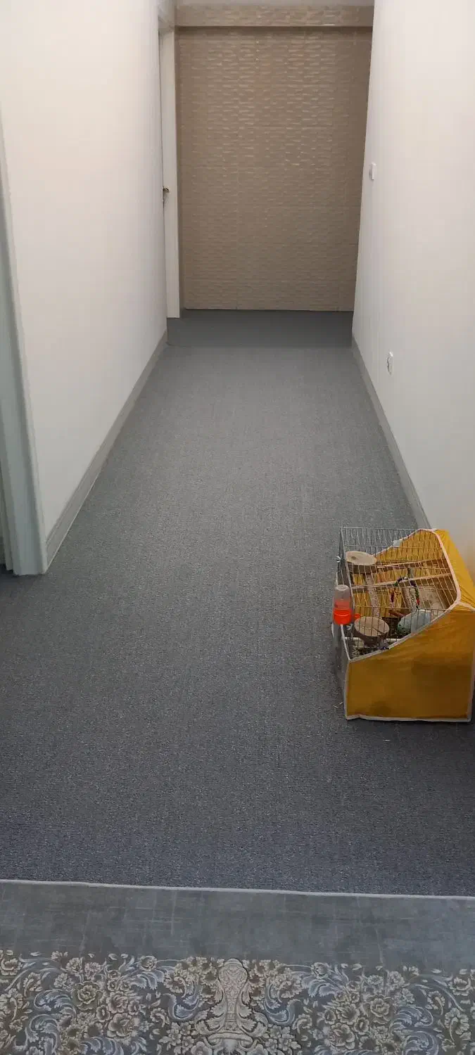 موکت|موکت|مرودشت, علیآباد|دیوار