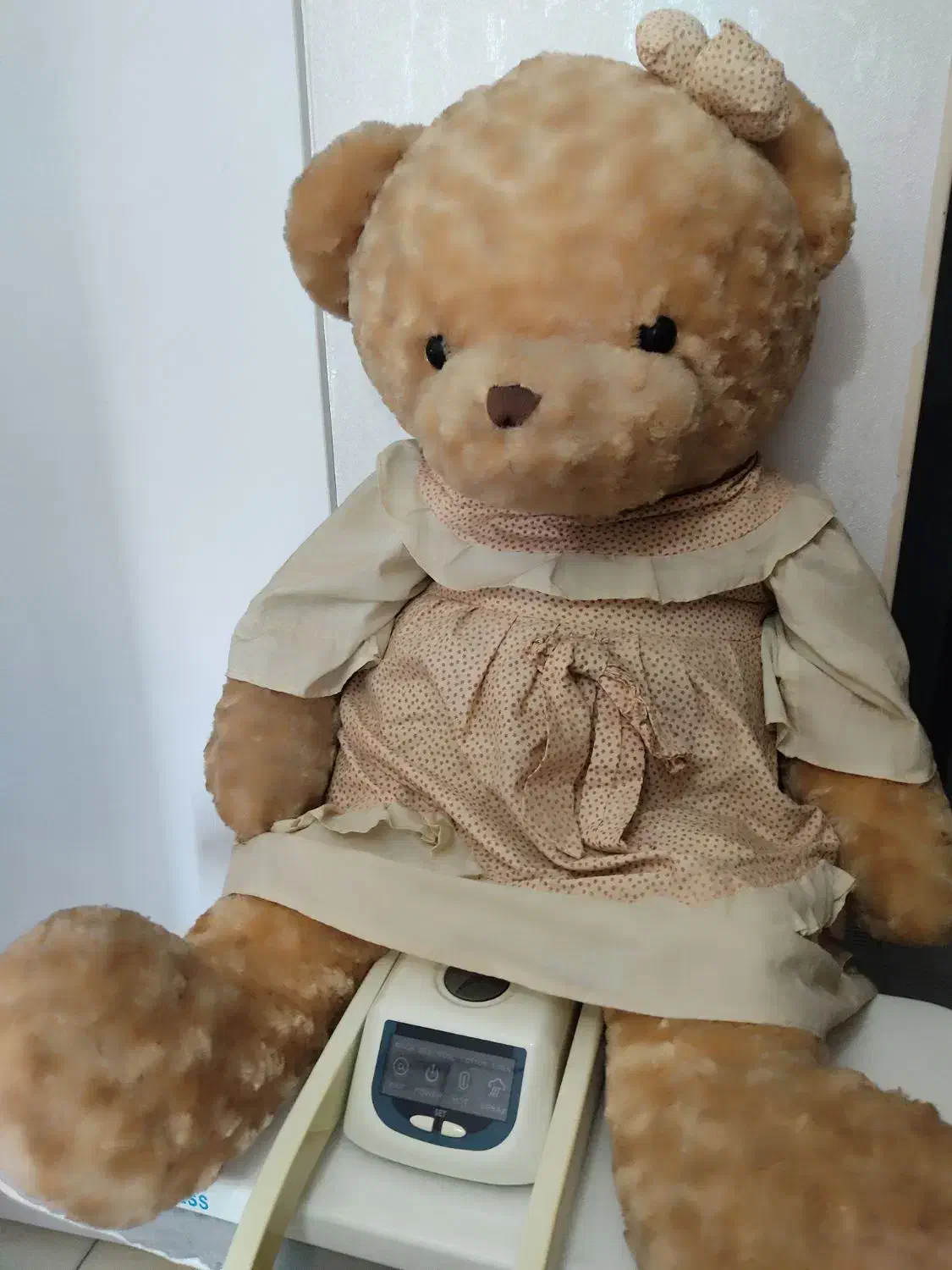 عروسک شاسخین خرسی با پولیش خارجی شیک و زیبا|اسباببازی بچه|قرچک, مهدیه|دیوار