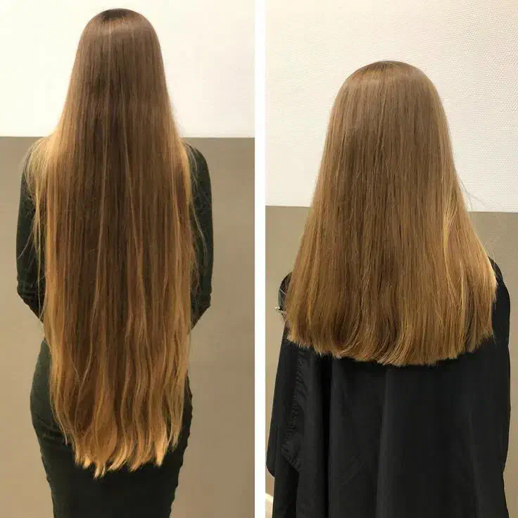 خریدار مو فروش مو خرید موهای طبیعی و رنگی|آرایشی، بهداشتی، درمانی|اسلام‌شهر, شهرک مهدیه|دیوار