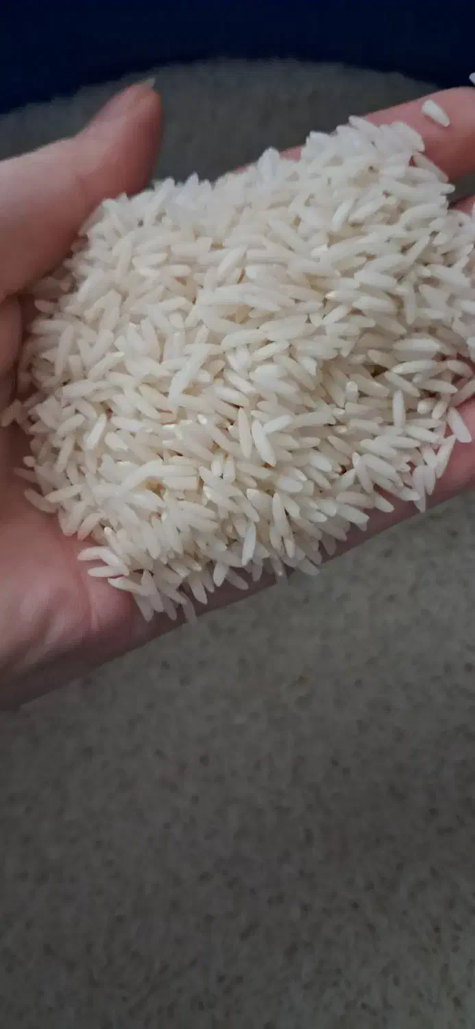40 کیلو برنج هاشمی رضوانشهر کیلویی 300 هزار تومان|خوردنی و آشامیدنی|بندر انزلی, ساحل قو|دیوار