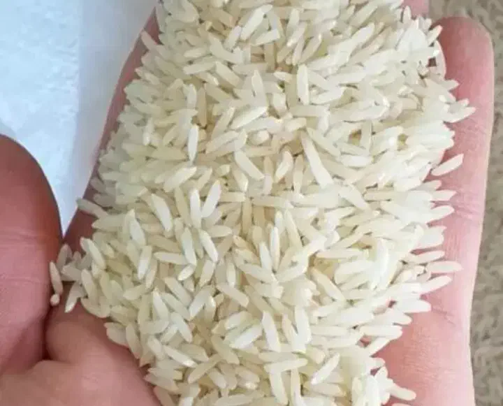 9 گونی برنج ایرانی علی کاظمی مونده خاستین خبر کنین|عمده‌فروشی|میانه, |دیوار