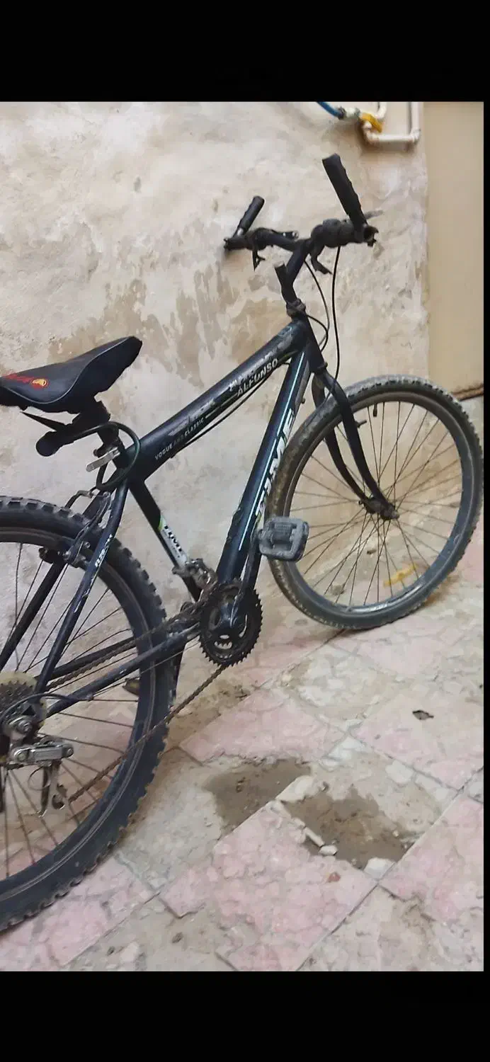 فروش دوچرخه 24 دوچرخه باخیری هست|دوچرخه، اسکیت، اسکوتر|جهرم, |دیوار