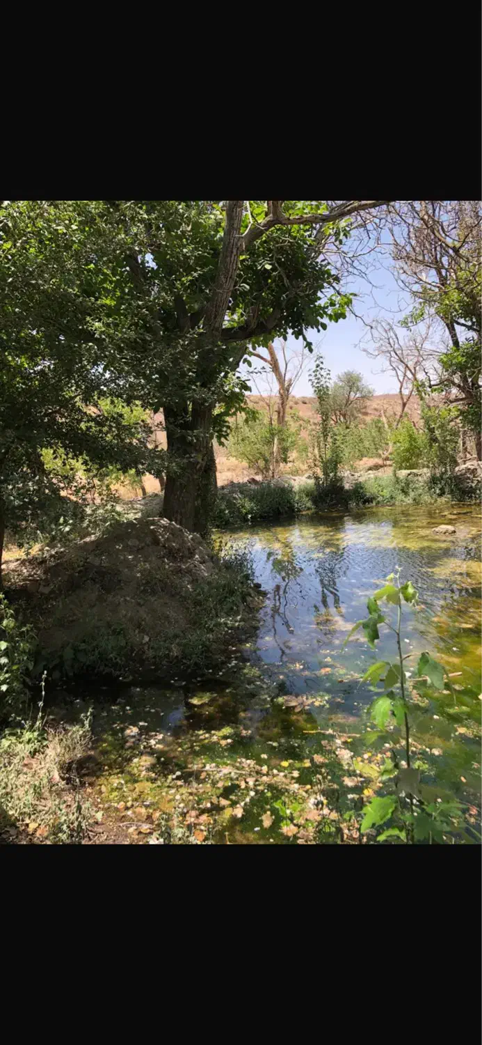 ۶هکتار باغ. سند تک برگ. اکوسیستم بکر و منحصر بفرد.|فروش زمین و ملک کلنگی|نائین, |دیوار