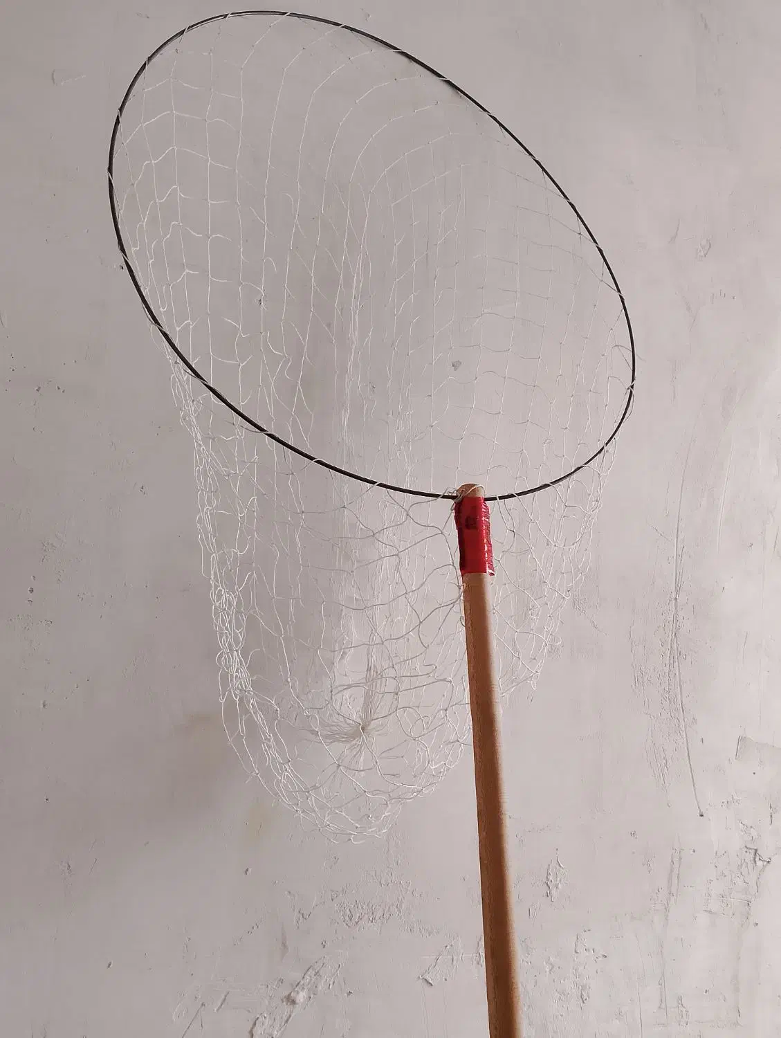 تور دستی کبوتر|لوازم جانبی حیوانات|گنبد کاووس, |دیوار