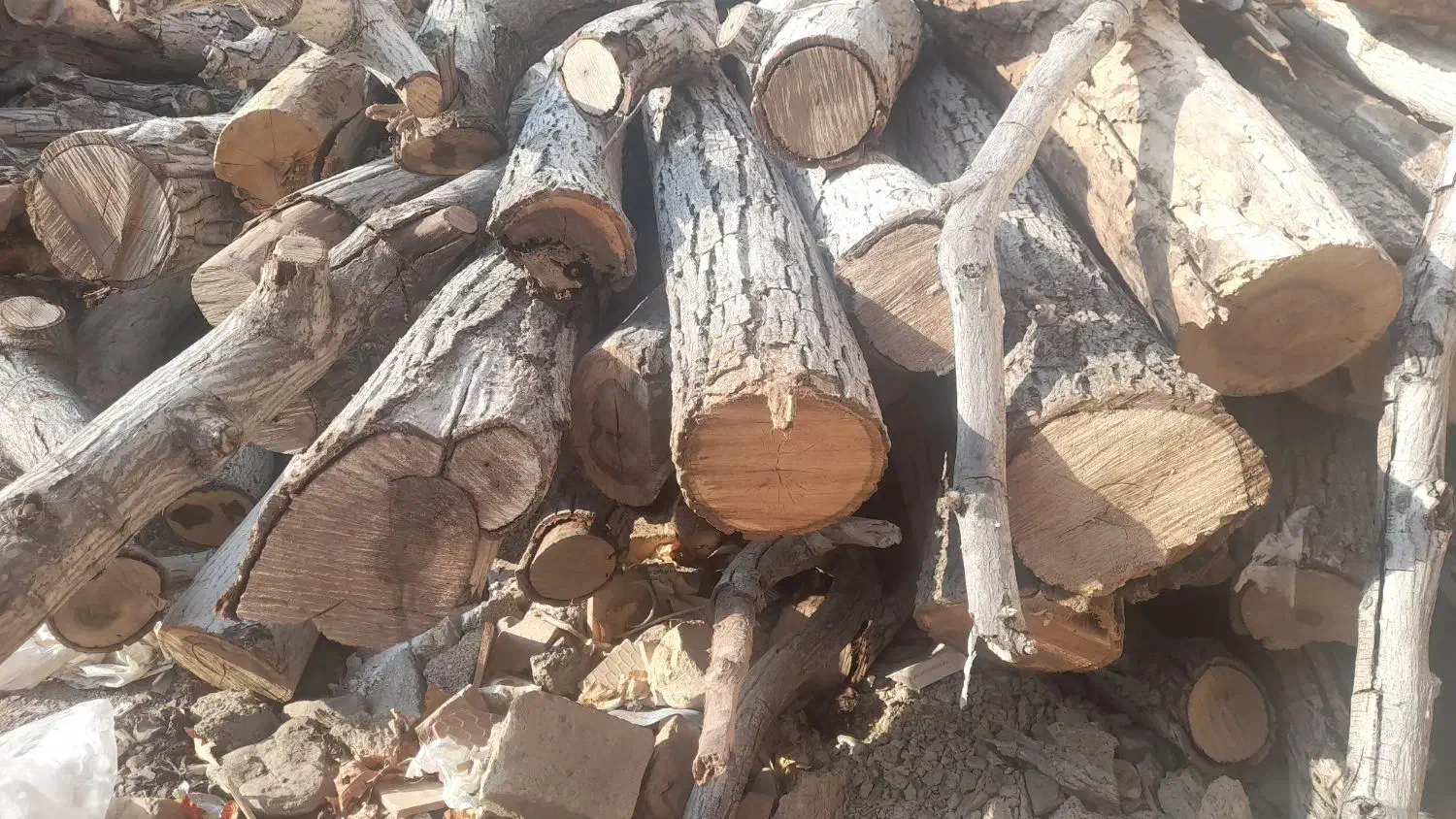 فروش چوب باغی|عمدهفروشی|اسفندقه, |دیوار