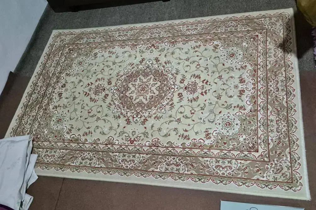 فرش ۹ متری همراه با قالیچه|فرش|بندر انزلی, تهران|دیوار