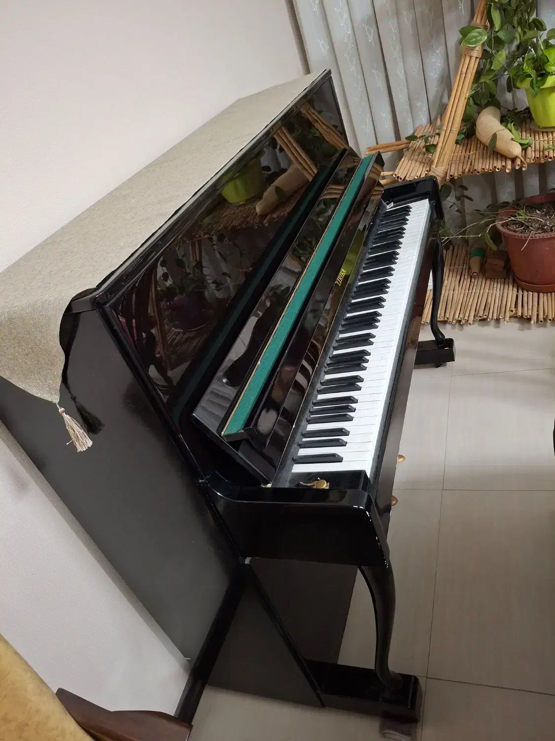 پیانو|پیانو، کیبورد، آکاردئون|شیراز, کاراندیش|دیوار