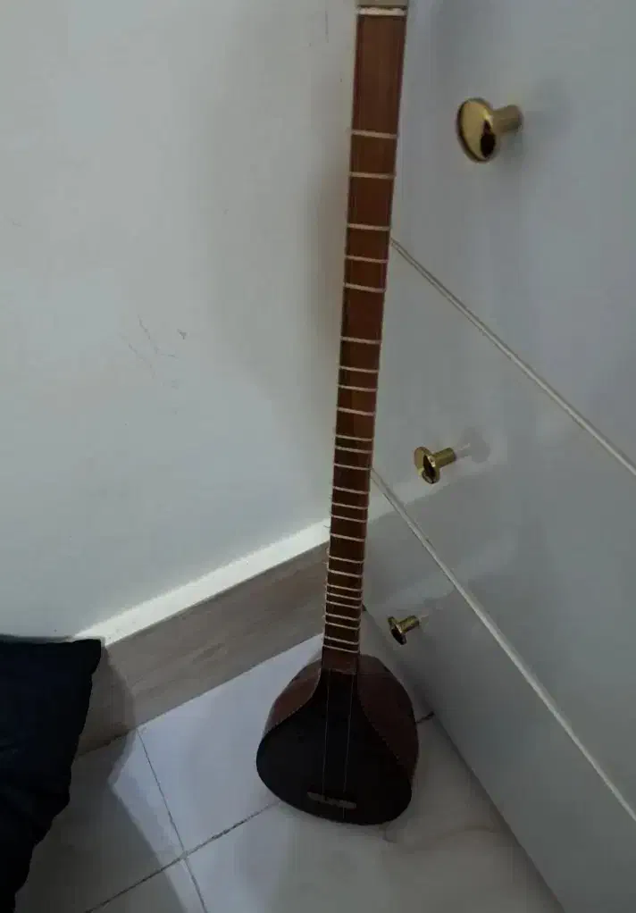 ۳ تار|سازهای سنتی|گرگان, |دیوار