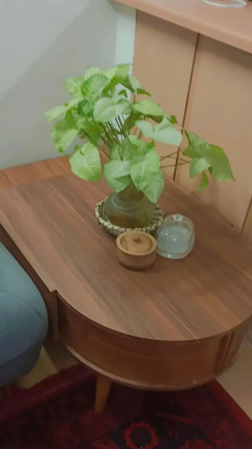 میزجلو مبلی همراه س عدد عسلی|مبلمان خانگی و میز عسلی|شاهینشهر, خانه کارگر|دیوار