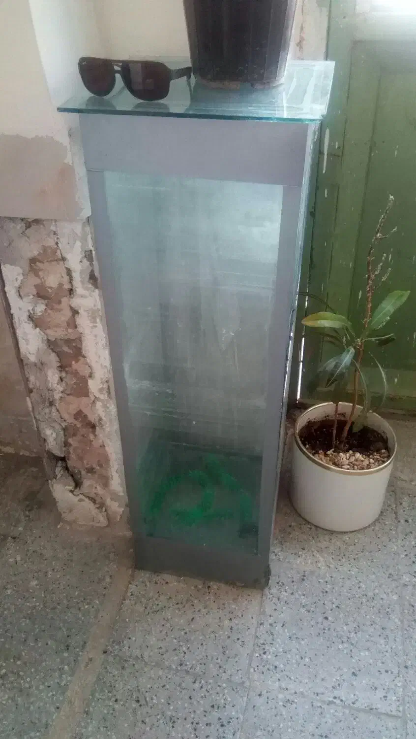 اکواریوم بزرگ|ماهی|تربت‌حیدریه, سیلوی گندم|دیوار