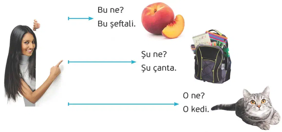 ترکی استانبولی در 40 جلسه|خدمات آموزشی|شیراز, شهرک مفتح|دیوار