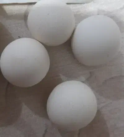 سنگ آسیاب|کلکسیون اشیاء عتیقه|بجنورد, |دیوار