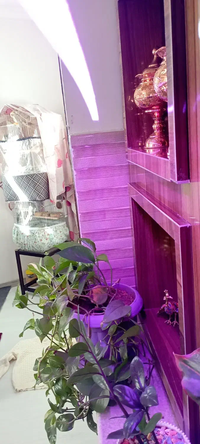 چراغ خطی الیدی رشد گیاه پر نور|لامپ و چراغ|ارومیه, |دیوار