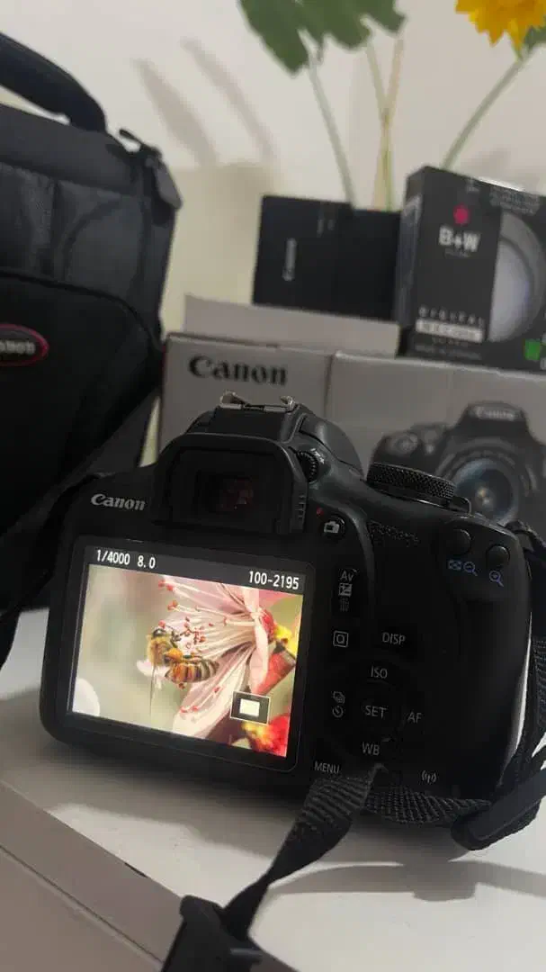 دوربین عکاسی و فیلم برداری حرفه ای (لنز 18.55)|دوربین عکاسی و فیلمبرداری|شهریار, شهریار|دیوار