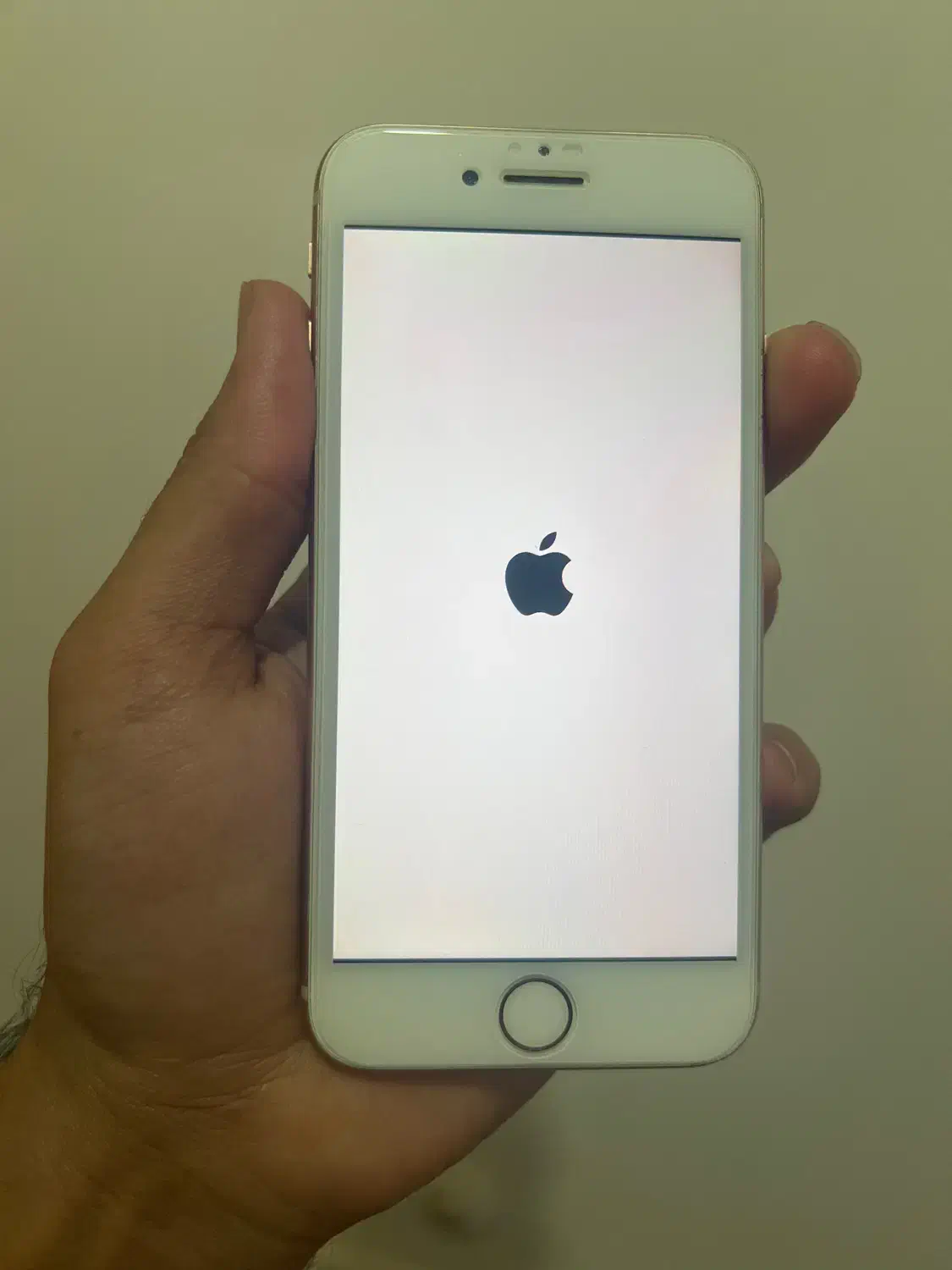 آیفون 8|موبایل|لامرد, |دیوار