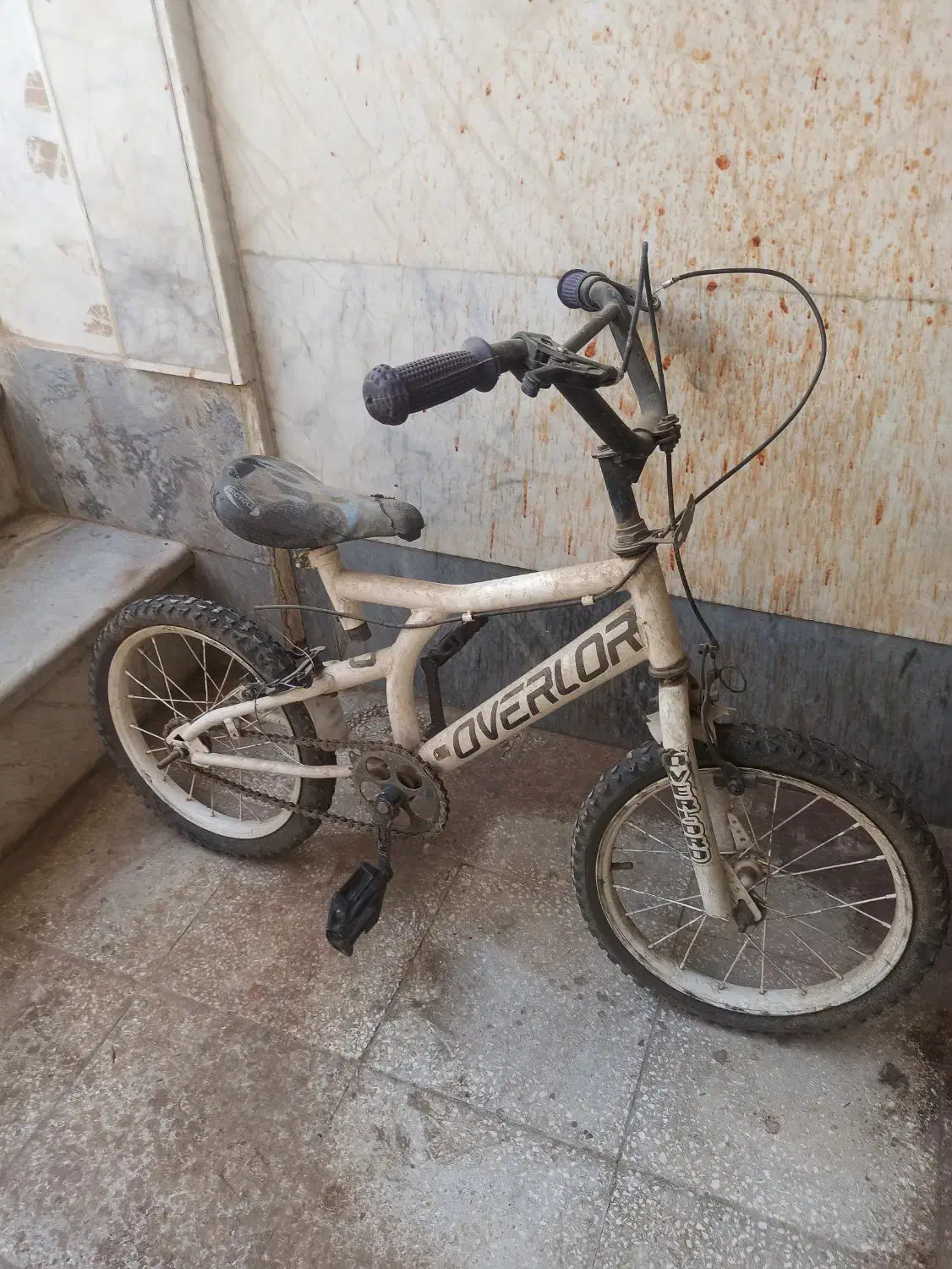 دوچرخه دخترانه|دوچرخه، اسکیت، اسکوتر|سبزوار, توحیدشهر|دیوار