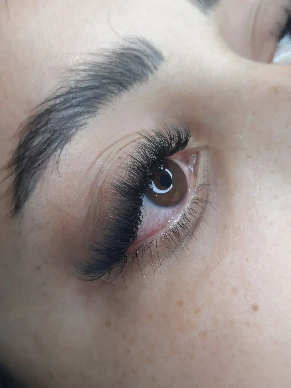 اکستنشن مژه ۳۵۰|خدمات آرایشگری و زیبایی|سبزوار, فقیه سبزواری|دیوار